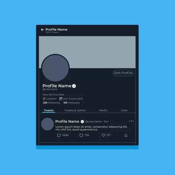 twitter takipci satin al
